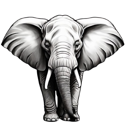 Leonardo_Diffusion_XL_back_and_white_elephant_for_logo_0_1_-removebg-preview